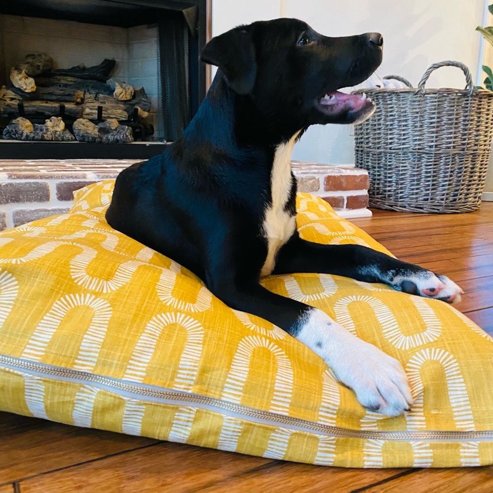 Large Dog Bed Cover.  Fits Labs. Standard doodles, dogs up to 85lbs.